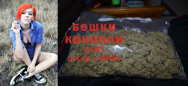 таблы Осинники