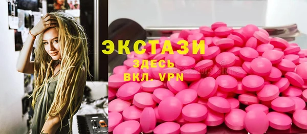 МДПВ Пересвет