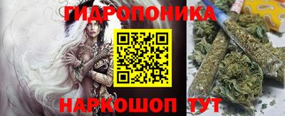индика Абинск