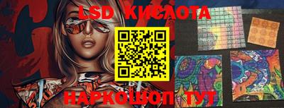 крисы Аргун