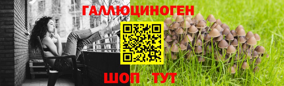 Апрелевка  Псилоцибиновые грибы мицелий  Вход с VPN 